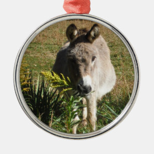 Donkey Picking Yellow Autumn Wildflowers Metal Ornament