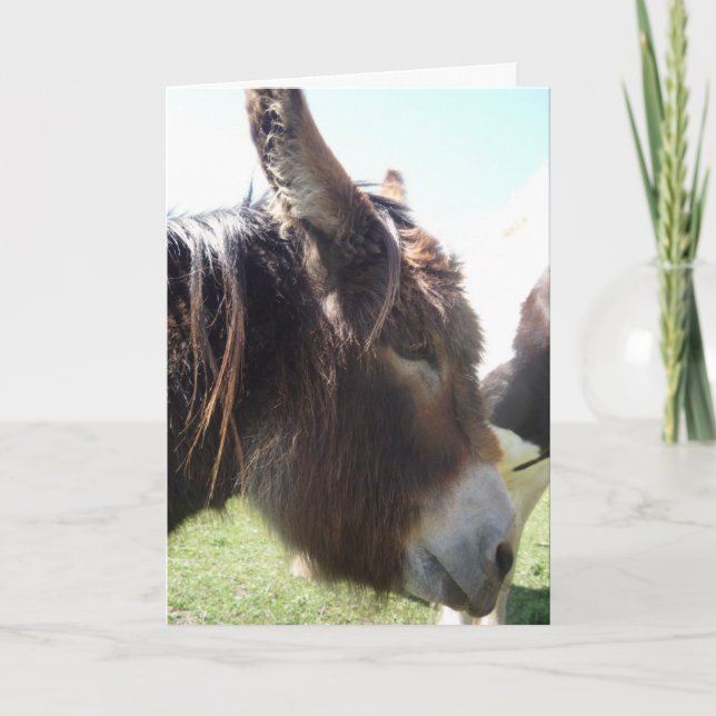 Donkey Portrait Greeting Card (Front)