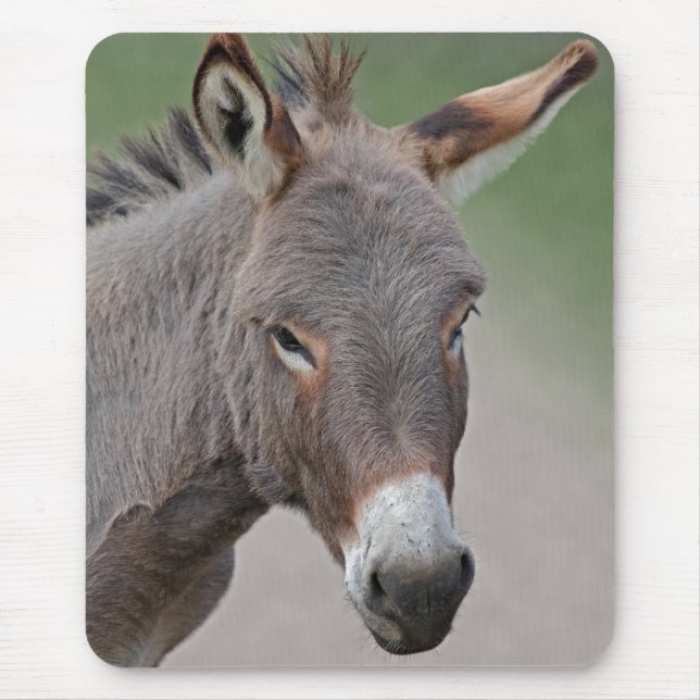 Donkey Portrait Mouse Mat (Front)