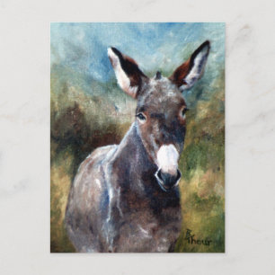 Donkey Portrait Postcard