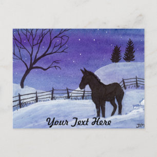 Donkey Postcard