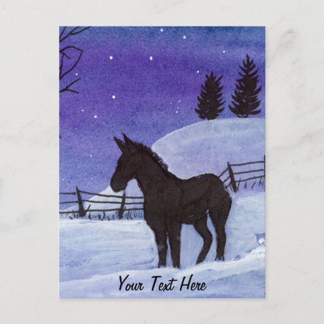 Donkey Postcard (Front)