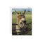 Donkey