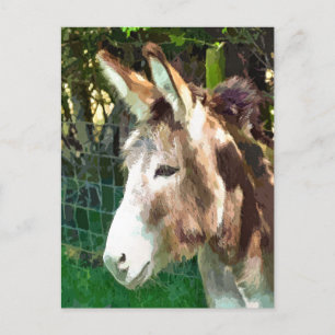 DONKEY POSTCARD