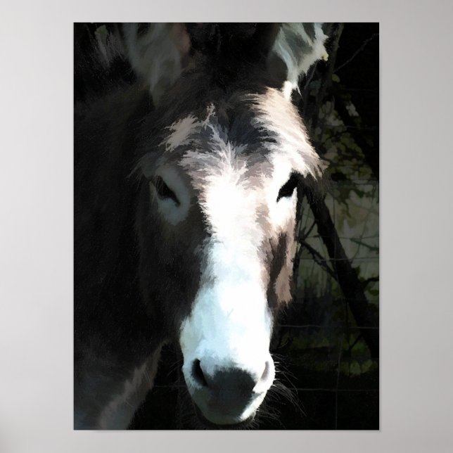 DONKEY POSTER (Front)