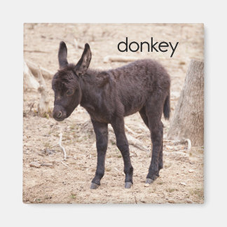 Donkey Refrigerator Magnet