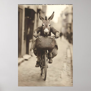 Donkey Riding Bike Art Funny Animal Vintage Photo Poster