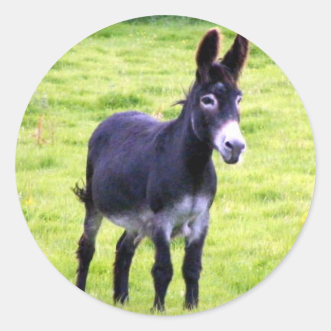 Donkey sticker (Front)