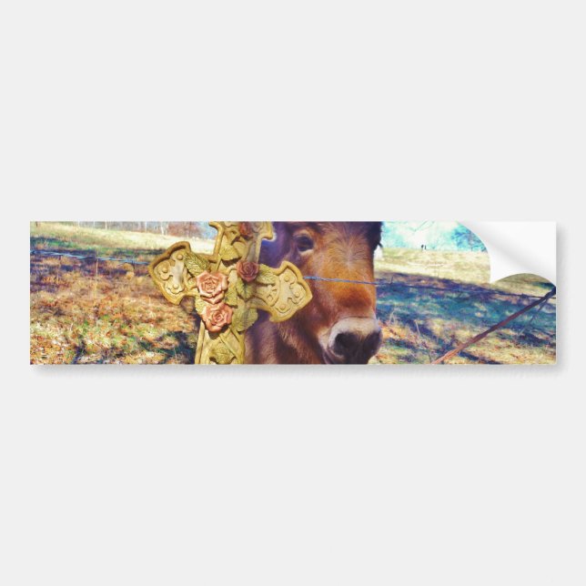 Donkey with Rose Cross Bumper Sticker (Front)
