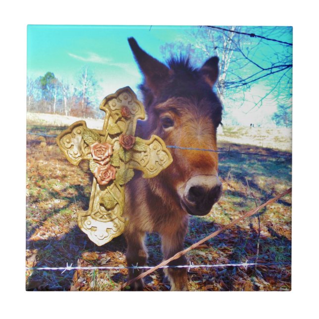 Donkey with Rose Cross Ceramic Tile (Front)