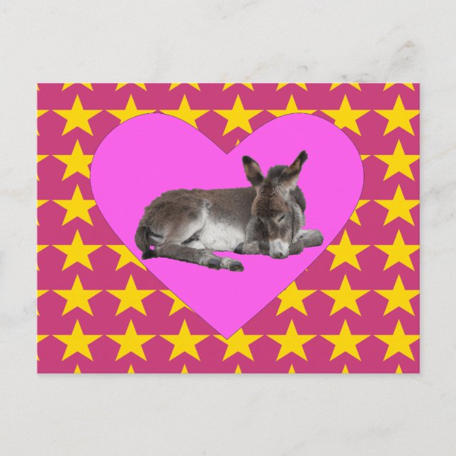 Donkey with stars and hearts postcard (Front)