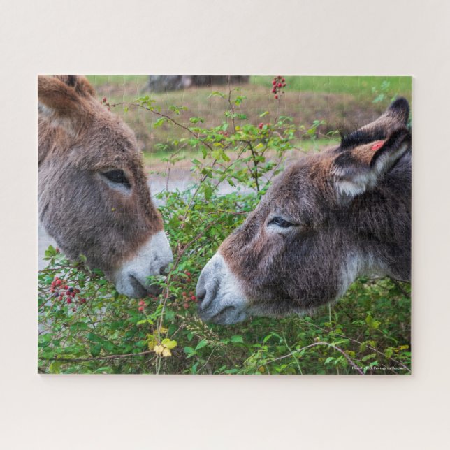 Donkeys, 520pcs, jigsaw puzzle (Horizontal)