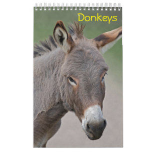 Donkeys Calendar