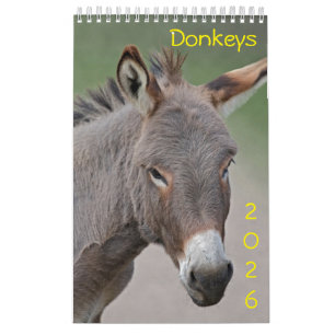 Donkeys Calendar 2025