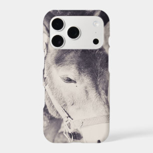 Donkey's head 001