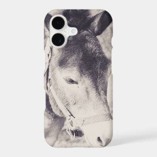 Donkey's head 001