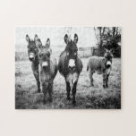 Donkeys Jigsaw Puzzle<br><div class="desc">Donkeys in a field on a misty winter's morning.</div>