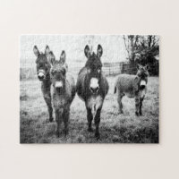 Donkeys