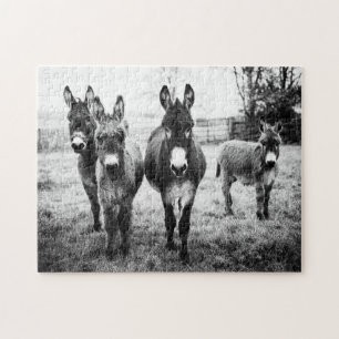 Donkeys Jigsaw Puzzle