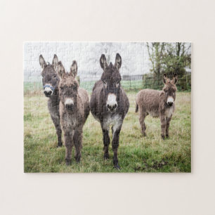 Donkeys on a Misty Winter Morning Jigsaw Puzzle