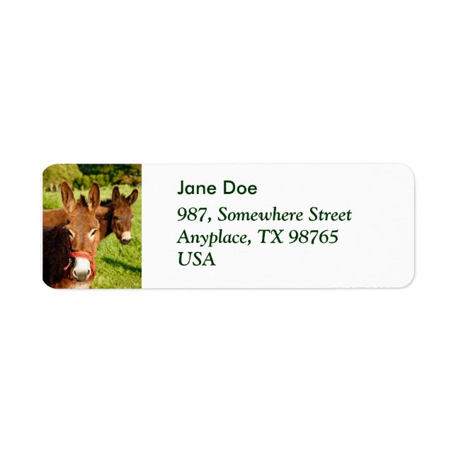 Donkeys Return Address Label (Front)