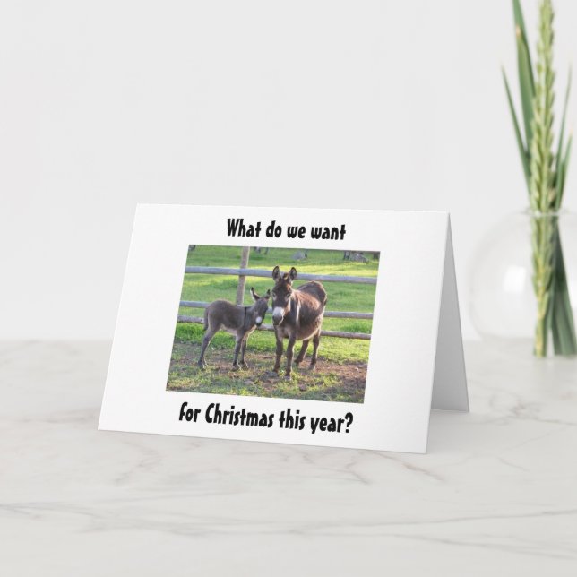 DONKEYS WANT YOU TO HAVE THE BEST CHRISTMAS HOLIDAY CARD (Front)