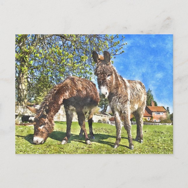 Donkeys Watercolour-Style Postcard (Front)