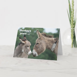 Donkey's years/ears card