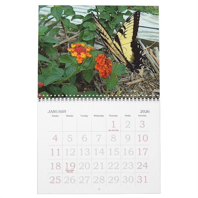 Donna‘s Garden 2007 Calendar (Jan 2026)