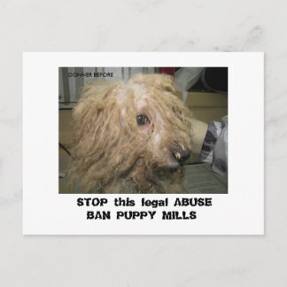 DonnerBichon12-10-08 (42),  STOP this legal ABU... Postcard