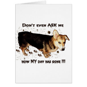 Don't Ask About MY Day...