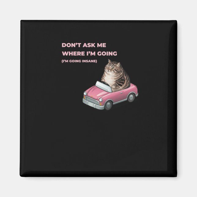 Don't Ask Me Where I'm Going (i'm Going Insane) St Magnet (Front)