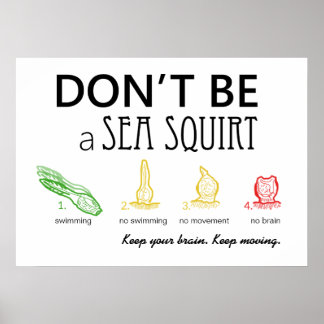 Don't Be A Sea Squirt with Colour Images - Poster