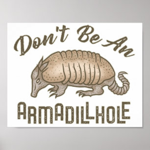 Don't be an Armadillhole Funny Armadillo Animal Poster