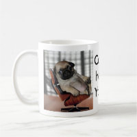 Don't be Pugnacious!