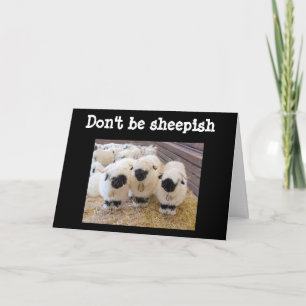 DON'T BE "SHEEPISH" AT "60" SAYS SHEEP!!! CARD