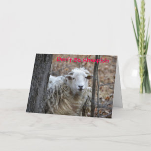 Don't Be Sheepish Valentine Card