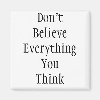 Don't Believe EverythingYou Think Magnet