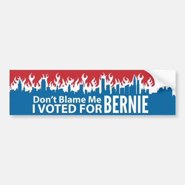 Don't Blame Me I Voted For Bernie Bumper Sticker (Front)