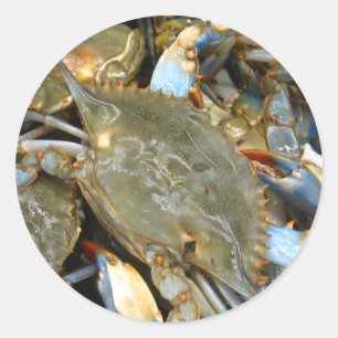 Don't Bother Me...I'm Crabby! Classic Round Sticker