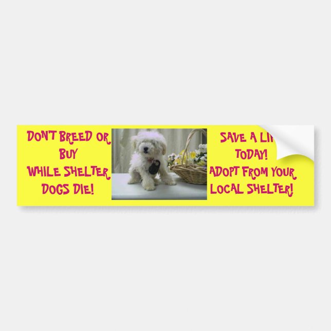 DON'T BREED OR BUY! ADOPT BUMPER STICKER (Front)