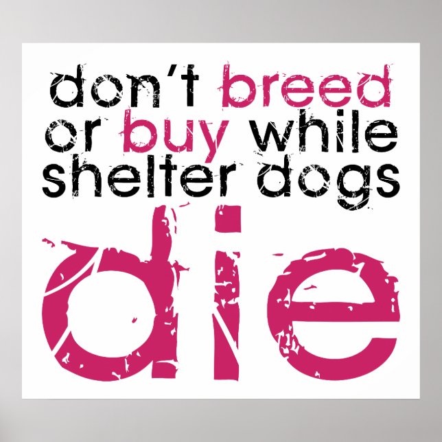 Don't Breed Or Buy Poster (Front)