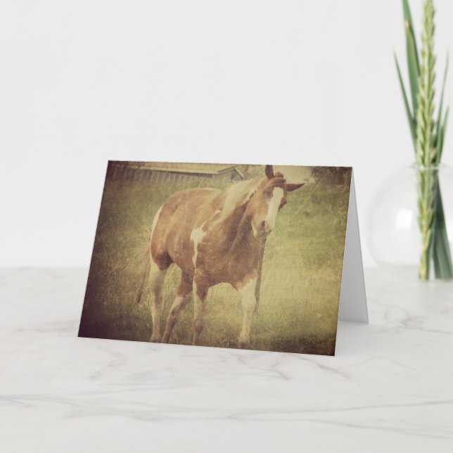 Don't Bug Me, Paint Horse Shakes Head Card (Front)