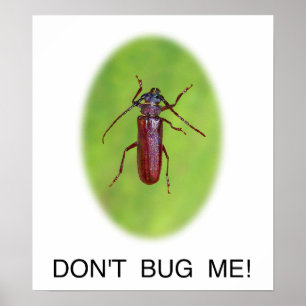 "Don't Bug Me!" Poster