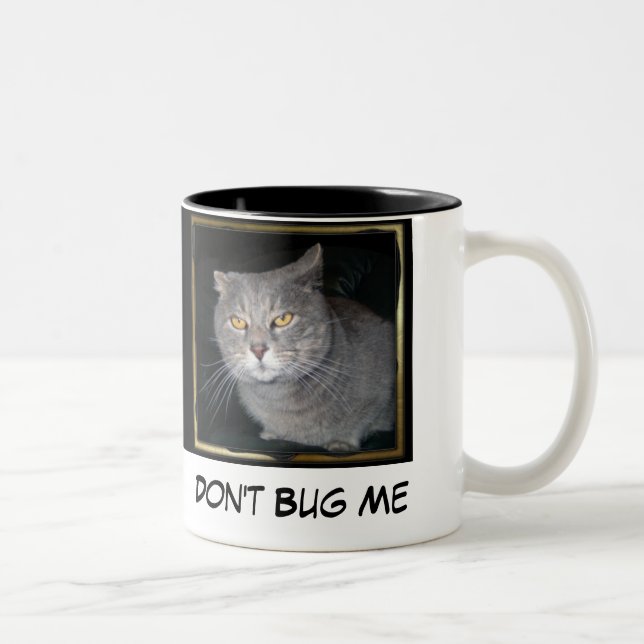 Don't Bug Me Two-Tone Coffee Mug (Right)