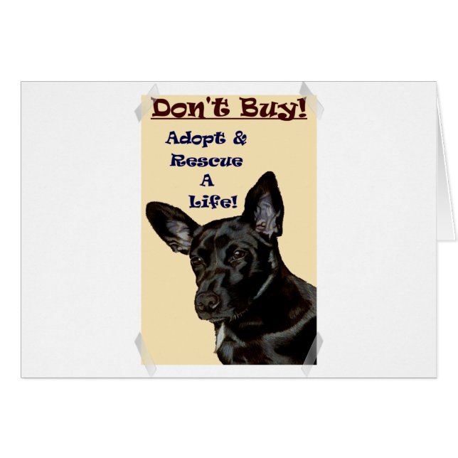 Don't Buy! Adopt & Rescue A Life! (Front Horizontal)