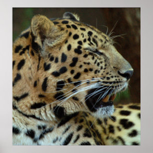 Don't Close Your Eyes On Me... Poster