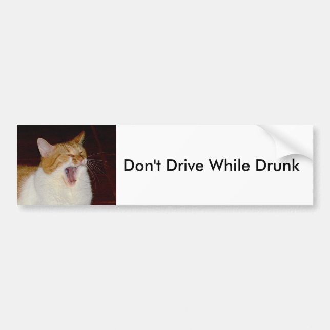 Don't drive drunk Cat Bumper Sticker (Front)