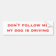 don't follow me my dog is driving