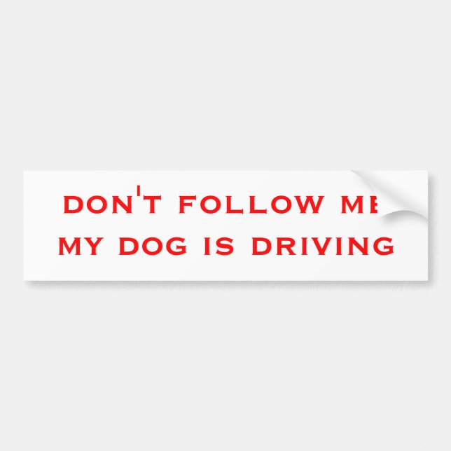 don't follow me my dog is driving bumper sticker (Front)